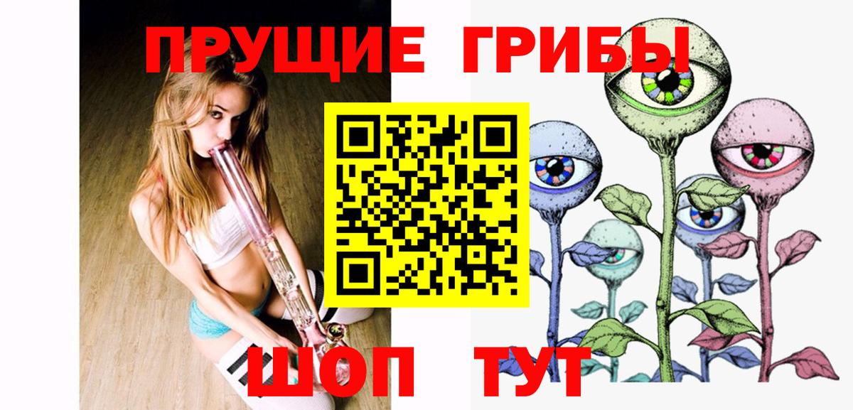 Галлюциногенные грибы Cubensis Кольчугино
