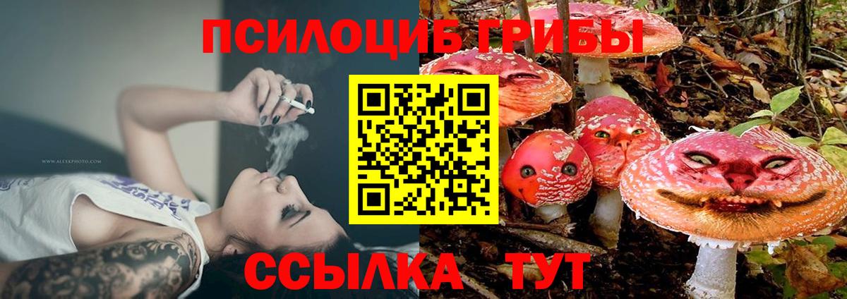 Кольчугино  хочу наркоту  Вход с VPN  Галлюциногенные грибы GOLDEN TEACHER 