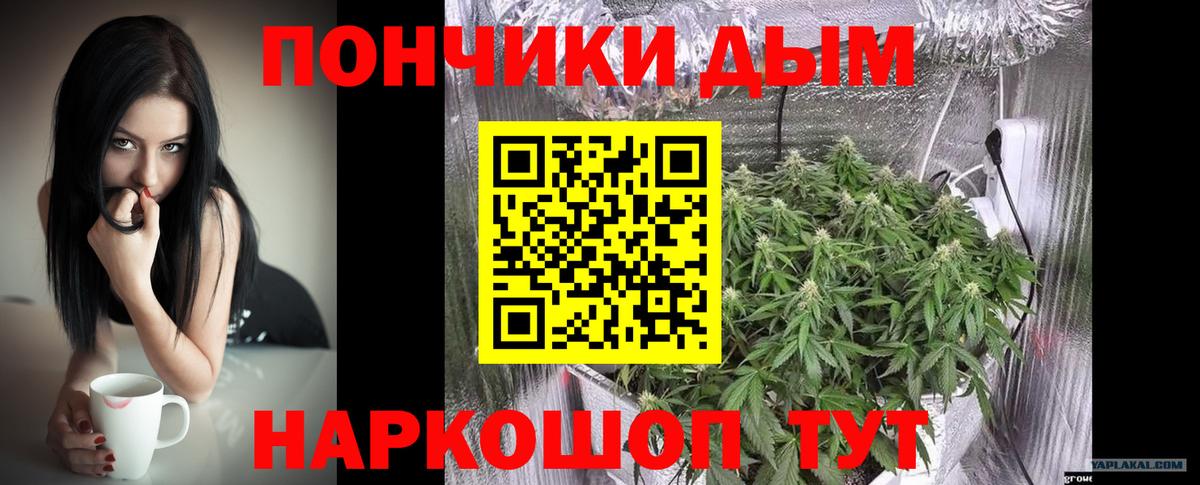 Марихуана план Кольчугино